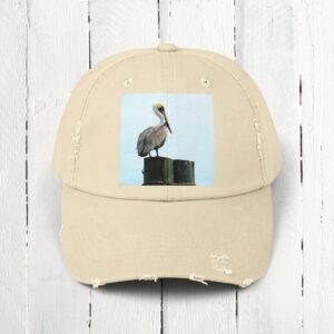 Pelican, hat